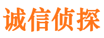 梁园外遇调查取证